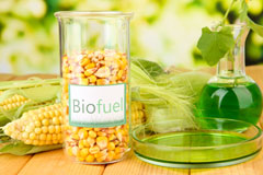 Paynes Green biofuel availability
